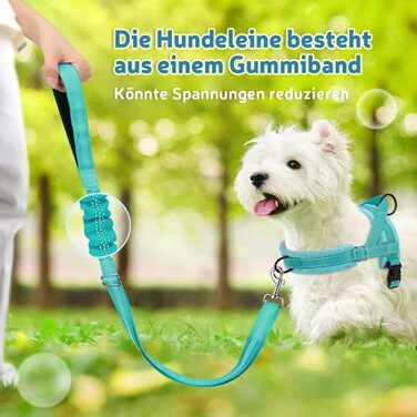 Шлейка для собак SlowTon з повідком, анти-тягнуча, регульована, світловідбиваюча, для цуценят, малих та середніх собак, безпечна, запобігає задушливості, зелена