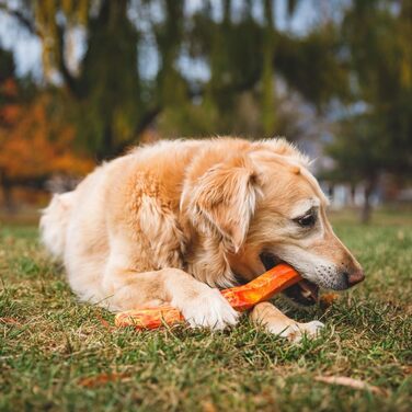 RUFFWEAR Gnawt-A-Stick Latex Dog Toy, Rubber Stick Dog Chew Toy for Pet Dogs, Premium Dog Toy & Boredom Buster, Dog Enrichment Toy & Fetch Stick (Glacial Blue)