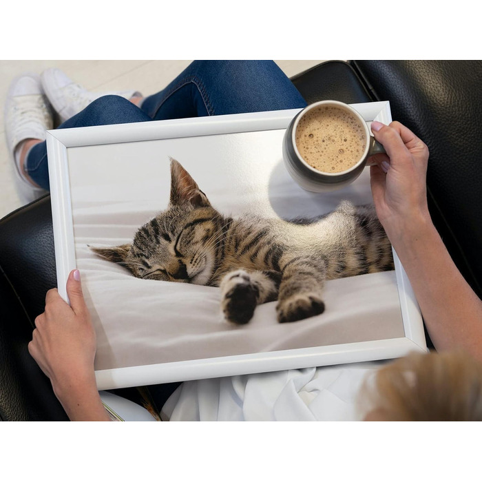 Creative Tops Kitten Lap Tray with Cushion, Beanbag Padded, 44 x 34cm, Multi-Coloured