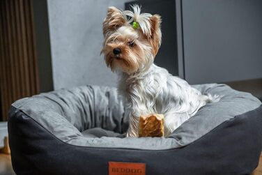 Льожа для собак середніх порід - BedDog: кілтрум, корзина, диван, ліжко для собак (65x55x21 см, коричневий)