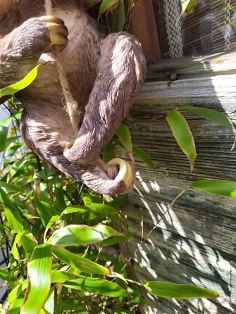 Animal Crackers Large Climbing Sloth on Rope Tree Garden Ornament Decoration Sloth Lover Gift