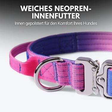 Тактичне нашийник для собак Spark Paws – Міцний, преміум-якість, для великих та середніх собак (Snow Cone, XS: 9-18 кг [2.5 см])