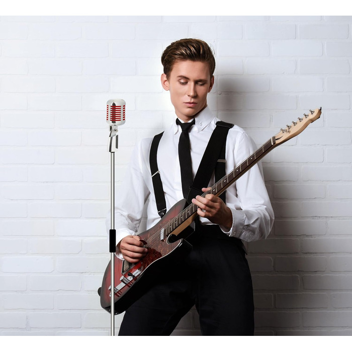 Pronomic DM-66R: Ретро мікрофон для вокалу з динамічним характером (50-16000 Гц, металевий корпус)