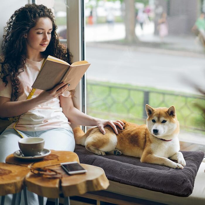 Килимок для собак Petschat, лежанка для маленьких собак, двосторонній килимок для котів, суперм'яка ковдра для собак з водовідштовхувальним дном для використання в приміщенні та на вулиці (76 x 51 x 3 см, темно-сірий)