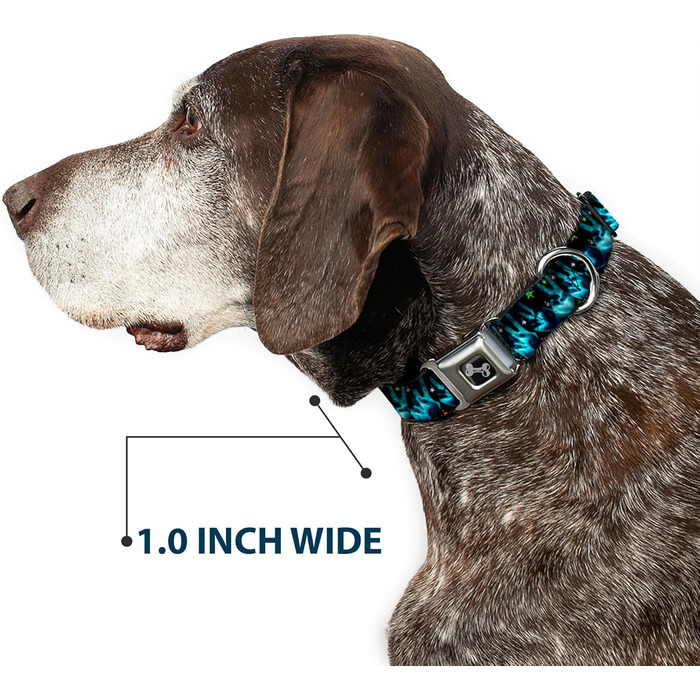 Нашийник для собак Buckle-Down Seatbelt Buckle - широкий 2.5 см, розмір L, універсальний, багатобарвний (DC-W31611-L)