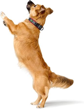 Нашийник для собак HUNTER Maldon, червоний, розмір M: дихаюча сітка, міцний нейлон, безшумний, гіпоалергенний, з поглиначем ривків, адресником, легкий