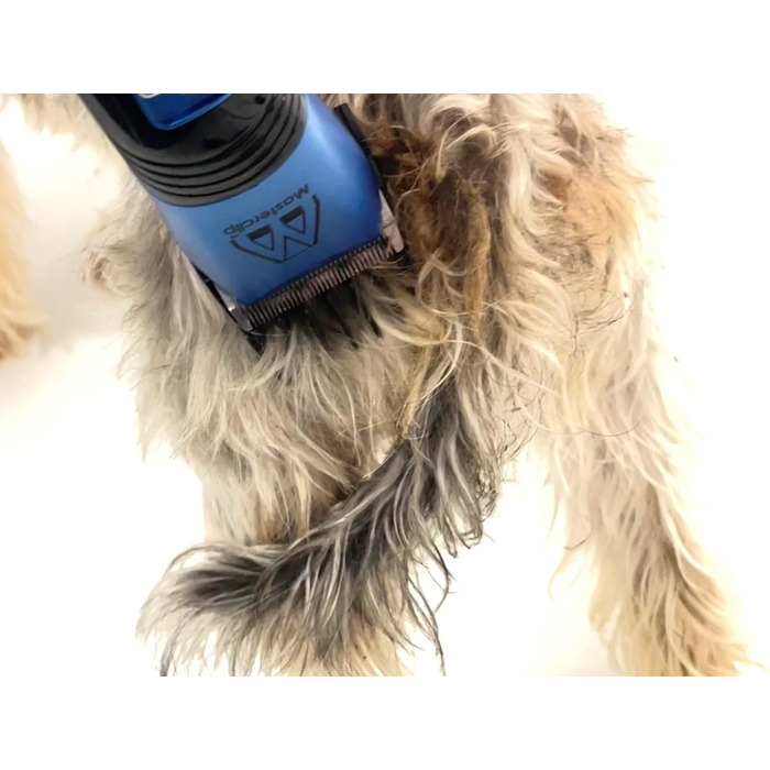 Професійна машинка для стрижки собак Masterclip Showmate II (блакитна), бездротова, акумуляторна, для собак, котів та інших тварин