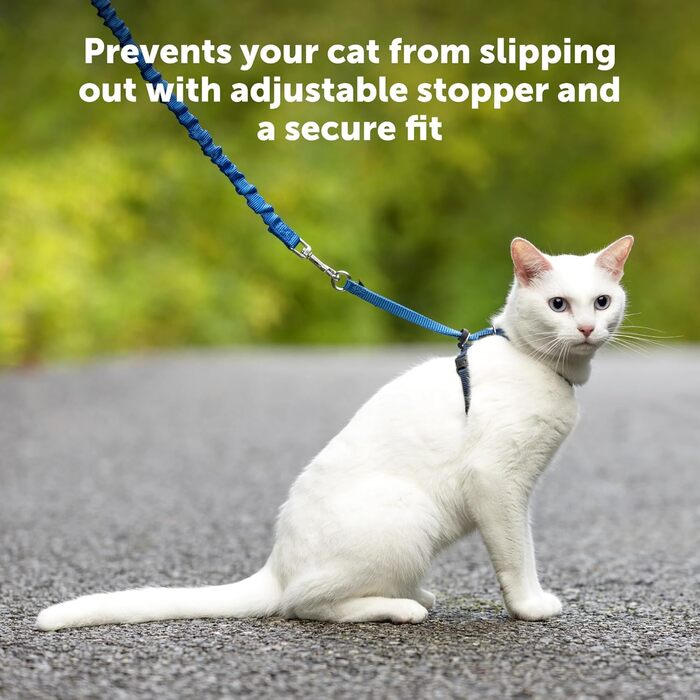 PetSafe Come with Me Kitty Harness and Bungee Leash, Harness for Cats, Size M, Red/Cranberry, Model: CWMK-M-RED