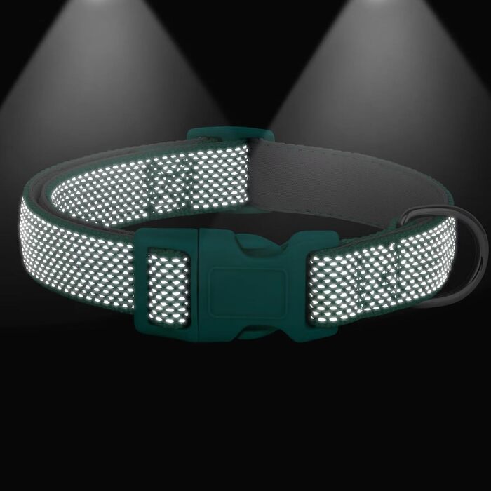 Відбиваючий нашийник для собак Didog з пряжкою, регульований, м'який неопрен, з підкладкою, нейлон, для маленьких, середніх та великих собак, зелений, L: обхват шиї 33-56 см