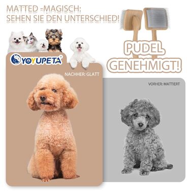 Набір щіток та гребінців для собак та котів з довгим хутром – Slicker Bürste & Kamm Set – проти підшерстка та ковтунів – з нержавіючої сталі 25 мм – дерев'яна ручка & шкіряний етикет – ідеально для Голден Ретріверів та Мейн Кунів