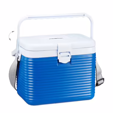 Relaxdays Small Cooler Box, 8 Liters