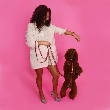 Шлейка для собак середніх порід Champagne Kiss M: регульована, не вбирає вологу, з контролем, легка