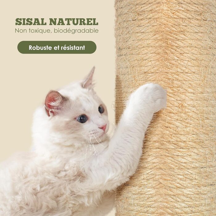 Kratzbaum, 31.5 inches (80cm) High Scratching Post, Cat Tree, Scratching Trunk for Medium and Small Cats, Natural Sisal Scratching Post with Interactive Plush Ball, Beige (Round Palm Style Scratching Trunk)