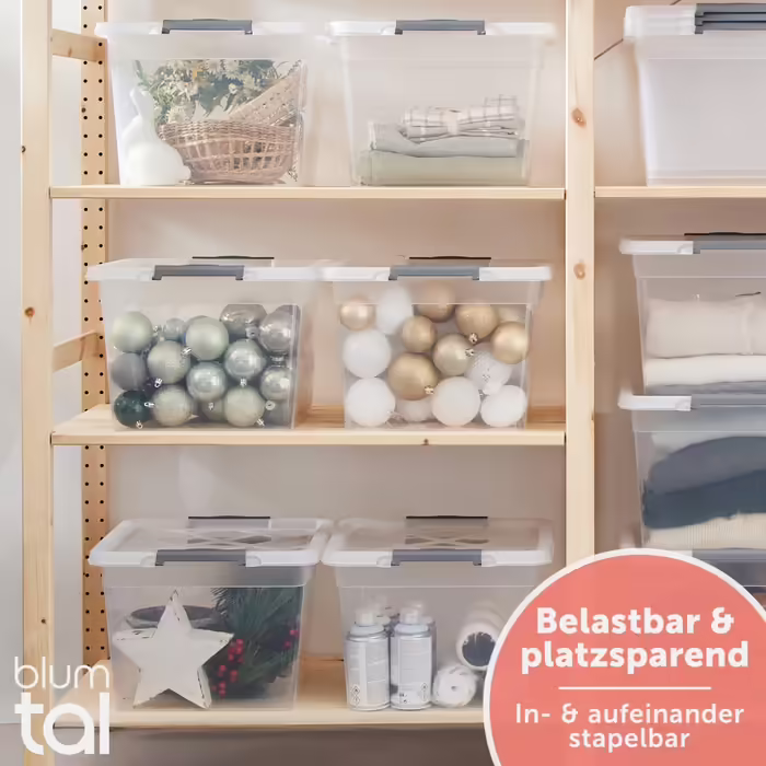 Blumtal Storage Box with Lid 32L Made of Plastic - Storage Boxes 36.5x36x26.5 cm - Storage Boxes Made of 100% New Material with Locking Clips - Storage Boxes with Lid Set of 4