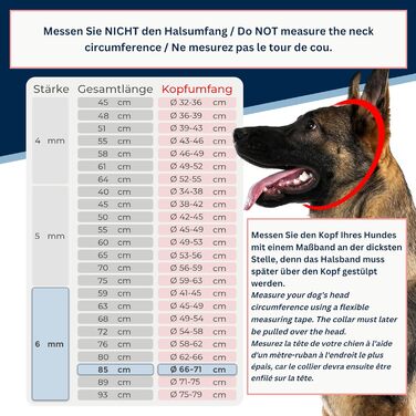 Нашийник для собак з обхватом шиї 49-53 см з нержавіючої сталі V4A, ланцюговий нашийник з запобіжником, довгі ланки 5 мм, загальна довжина 64 см