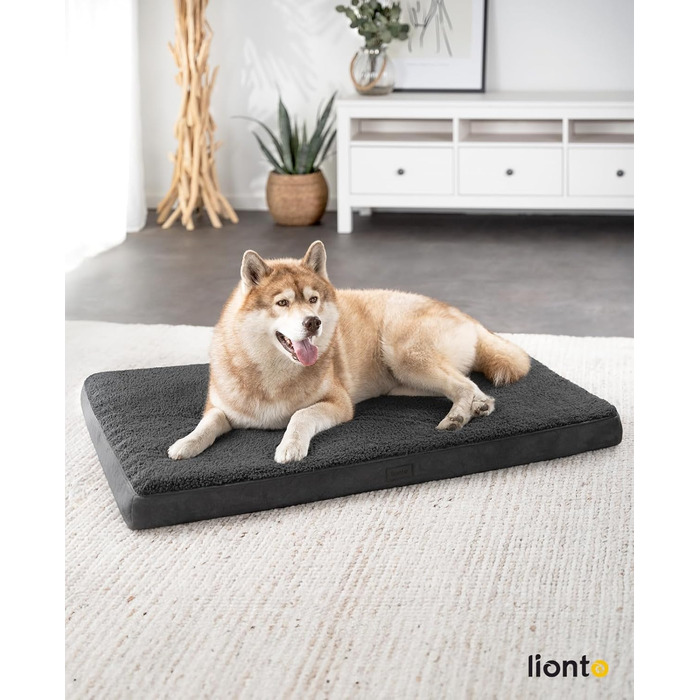 Ортопедичне ліжко для собак Lionto, 112x81x8 см, чорне. М'яке, знімний чохол, водонепроникне, для собак та котів