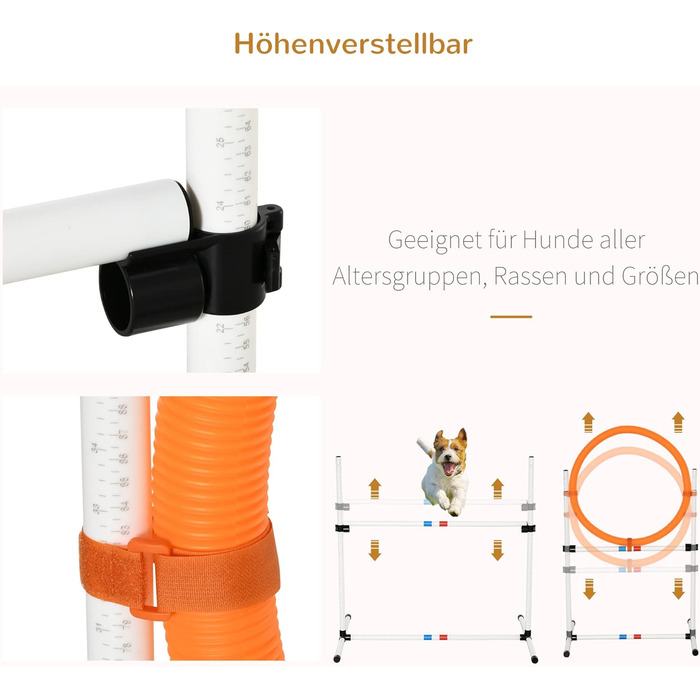 Набір для аджиліті для собак PawHut 3-TLG. Білий+Жовтий, для тренувань