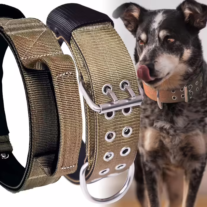 Dog Collar for Large Dogs - 5 cm Wide Collar with Handle for Extra Large Dog Breeds, Soft Padded Neoprene Nylon Dog Collar for Large Dogs Big Dog Collar (56-66cm, Khaki)