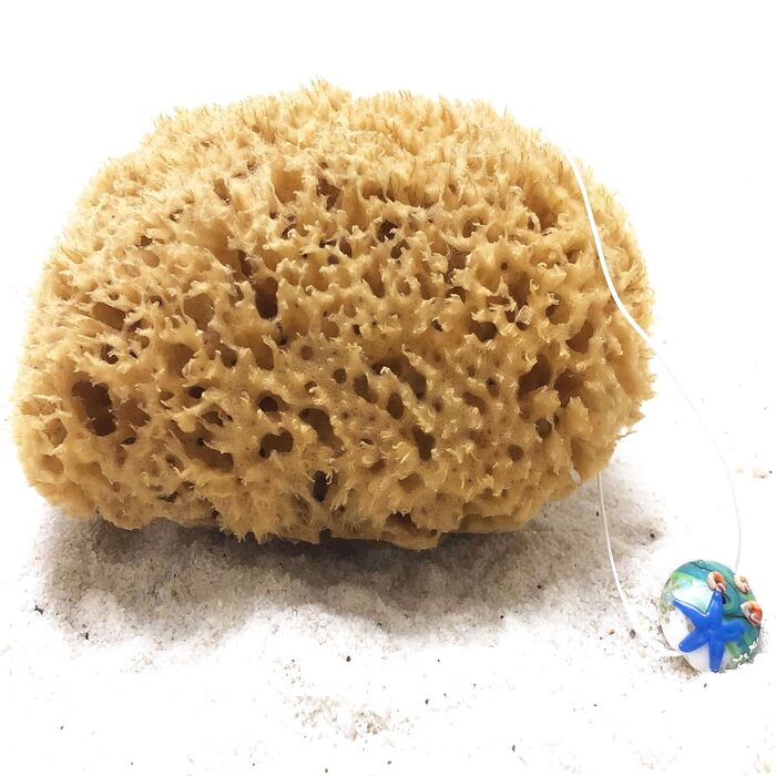 tom&pat Natural Sponge with Cord & Glass Charm - Dermatest: Very Good, Unbleached Bath Sponge Shower Sponge Body, Exfoliating Sponge from Greece, Premium Quality (17-18 cm)
