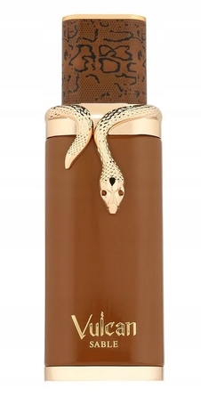 Парфумована вода для чоловіків French Avenue Vulcan Sable, 100 мл, EDP