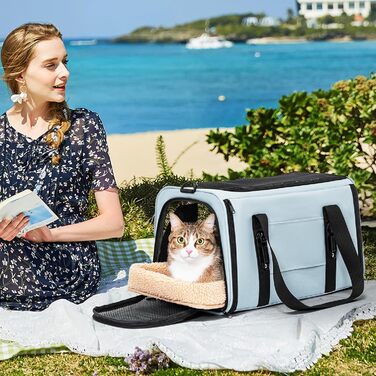 Транспортна переноска для кота/собаки Petsfit - складана переноска для авто, 45x28x28 см, зелена