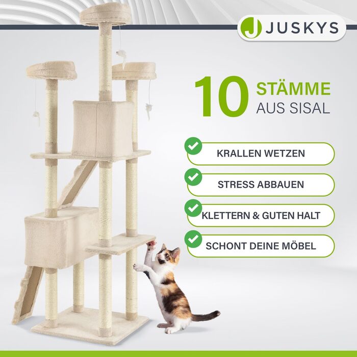 Дерево для котів Juskys Amy XXL - з печерами, лежанками, сходами та сизалевими стовпчиками. Стабільний котячий комплекс 170 см, сірий (бежевий)