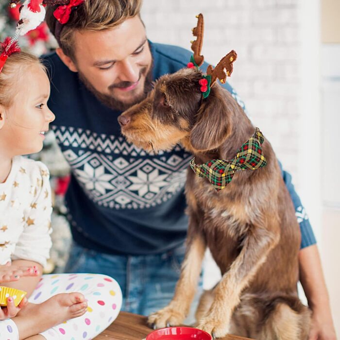 Нашийник для собак Lionheart Glory з візерунком у клітинку, регульований м'який нашийник з краваткою, нашийник з бантиком для середніх собак, подарунок для домашніх тварин, червоно-зелена клітинка (S, 1 шт.), різдвяний зелений