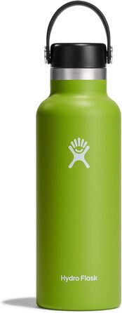 HYDRO FLASK - 532ml (18oz) Water Bottle - Vacuum Insulated Stainless Steel Water Bottle - Sports Bottle with Leak-Proof Flex Cap & Strap - Thermos Bottle Dishwasher Safe - Wide Mouth - (Modern and sporty, Seagrass, 532ml (18oz))