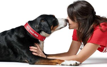 Нашийник для собак Hunter Neopren Reflect FC Bayern, L (60), червоний