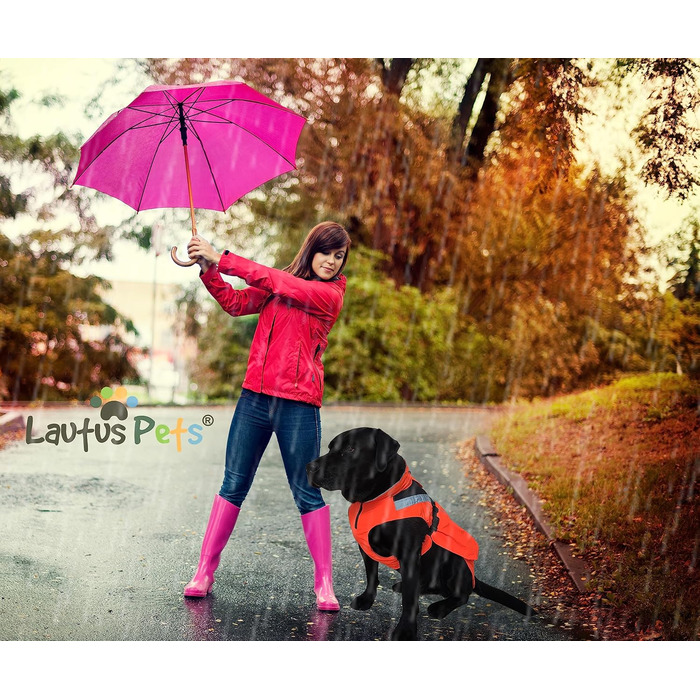 Lautus Pets Dog Raincoats, Waterproof, Reflective, Light-Colored with Leash Hole (Orange, S)
