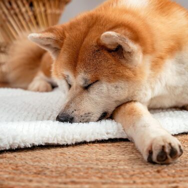 Килимок-підстилка Lionto для собак та котів, теплий, з підкладкою, 60x45 см, сірий. Гігієнічний, з захистом від холоду, для будь-яких порід.