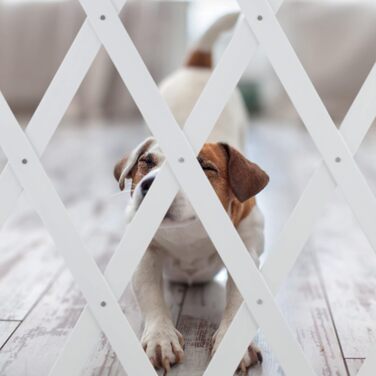 Захисне ворота для собак Relaxdays, висувні до 108,5 см, висота 47,5-60 см, білий (XL)