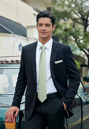 HISDERN Комплект краватки та кишенькового хустинки в клітинку для чоловіків (світло-зелений)