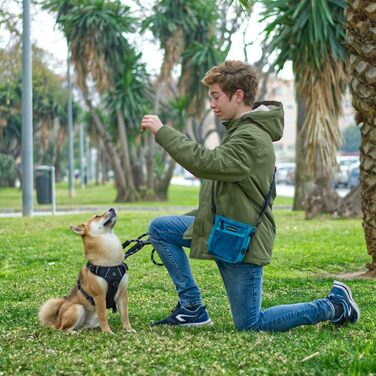 Сумка для корму для собак Waldseemüller, тренувальна сумка для домашніх тварин, підходить для собак маленьких та великих порід, з диспенсером для пакетів для екскрементів, карабіном, регульованим поясним ременем та плечовим ременем