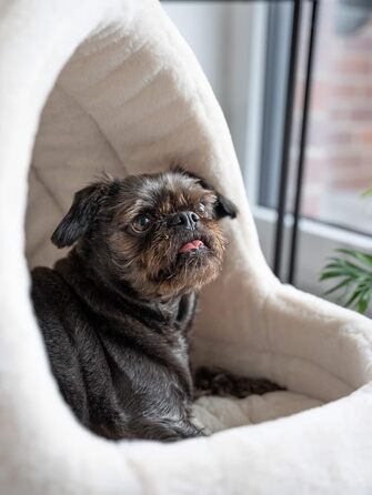 TrendPet LunaHome: затишна печерка-лежанка для собак та котів сірого та бежевого кольорів