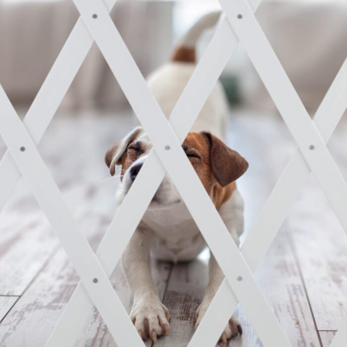 Захисне ворота для собак Relaxdays, висувні до 108,5 см, висота 47,5-60 см, білий (XL)