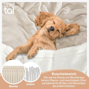 Плед Blumtal Premium Sherpa з м'якої шерсті, 230x270 см, сертифікат Oeko-Tex, теплий та пухнастий, для дивану, колір: Молочний (Taupe)