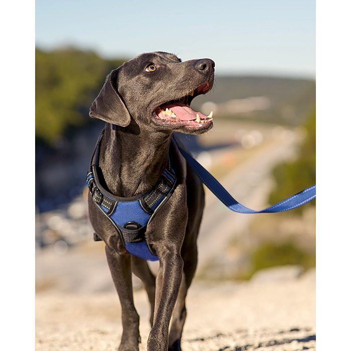 Шлейка для собак Joytale середнього розміру, світловідбиваюча, дихаюча, регульована з ручкою для тренувань, розмір M, Navy Blue (1 шт.)