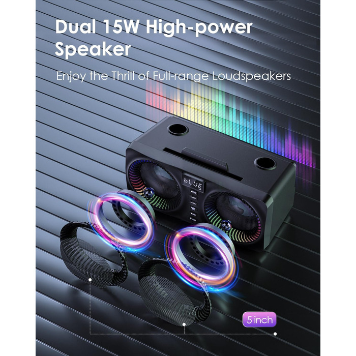 Караоке система All-in-One з Bluetooth, 2 мікрофонами та акустикою 30W, PA система для вечірок (Чорний)