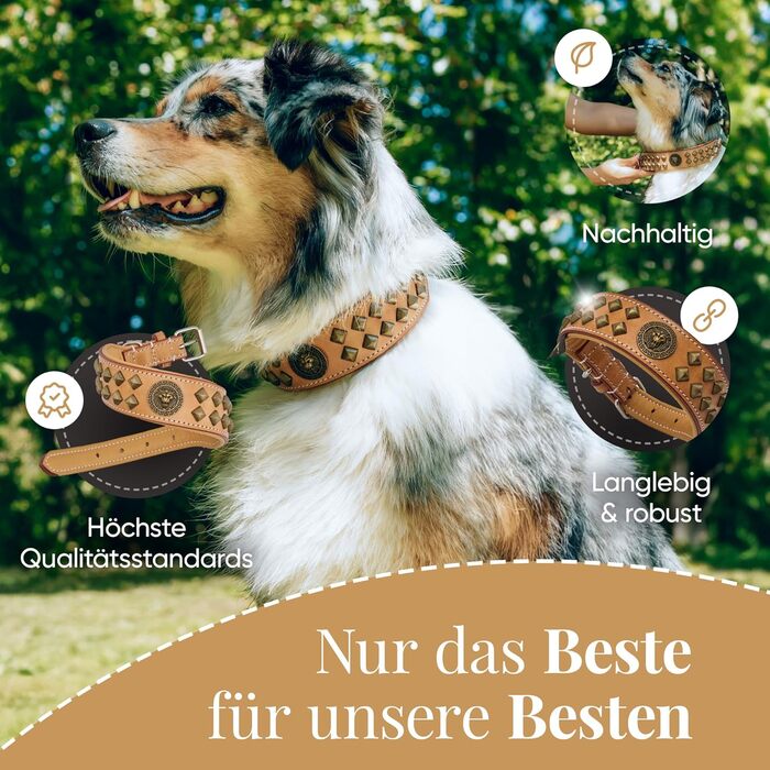 MICHUR Diego Beige Leine, Leather Dog Lead, Flat Lead, Leather Lead for Dogs, MATCHES the Diego Brown Beige Gold Collar, Size 150cm x 2.5cm (Neck circumference 47-54cm)