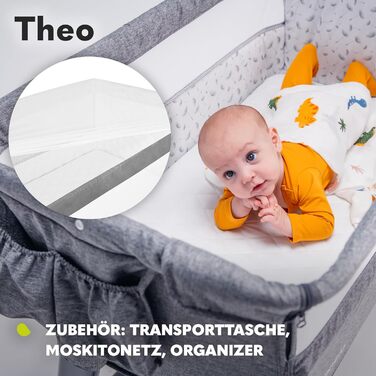 Lionelo Theo 2in1 Baby Cot, Travel Cot for Baby, Bedside Cot for Baby from Birth up to 9 kg, Height Adjustment, Tilt Adjustment, Folding Side Rail, Mattress, Mosquito Net (Dove Grey) Dove Grey 1 Piece (1 Pack)