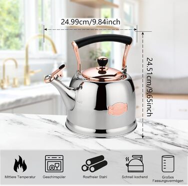 Нержавійна чавур для кемпінгу 3L з чайником, для плити та газової поверхні, зі свистком (Золотий)