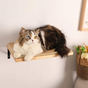 FUKUMARU Climbing Wall for Cats, Cat Bed Wall made of 2cm thick solid rubber wood with durable sisal scratching mat, 40x25cm Wall Cat Lounger/Cat Ladder
