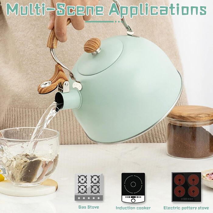 Чайник-заварник зі свистком, нержавіюча сталь, Induktion, для всіх плит, з ергономічною ручкою