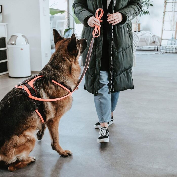 Нашийник для собак Maldon, розмір S-M, оранжево-сірий