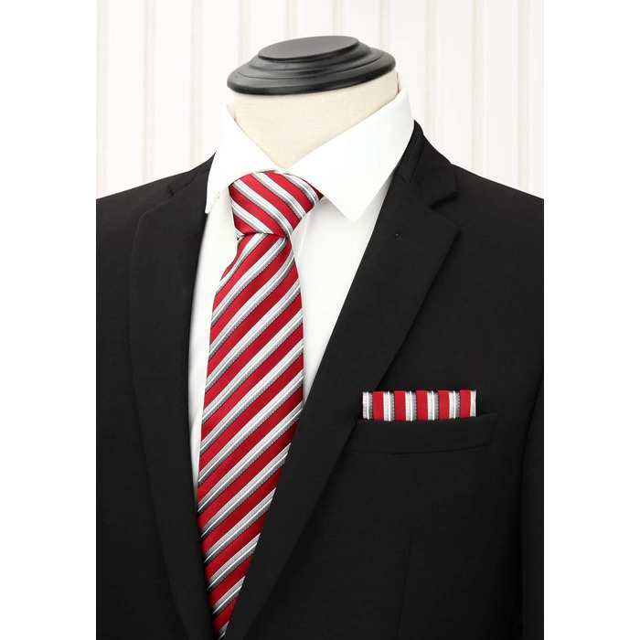 Набір чоловічих краваток HISDERN (5 шт.) з нагрудною хусткою, шовкові, класичні, для весілля, в подарунковій коробці T5-04