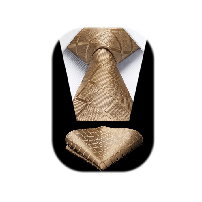 HISDERN Комплект краватки та нагрудного хустинки в клітинку для чоловіків (світло-коричневий)