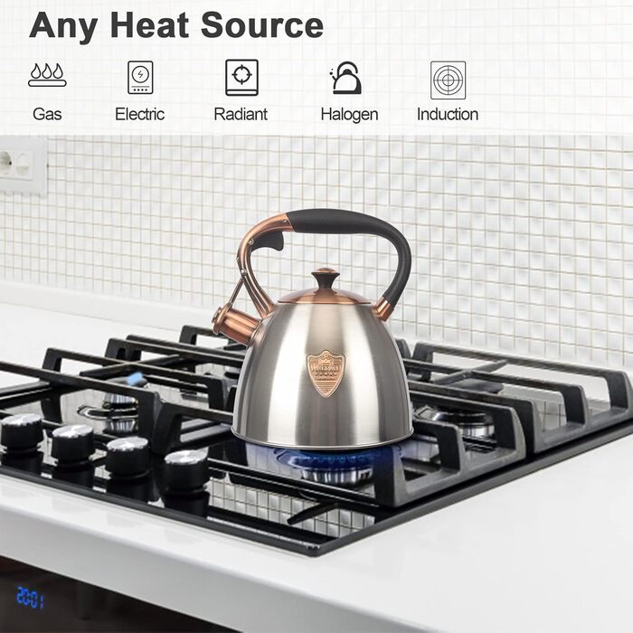 Чайник для плити Teekessel з нержавіючої сталі, 2,9 л