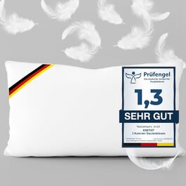 KNERST® 2-Piece Pillow Set - 40x80 cm - Down Pillow 40x80 with 3-Chamber Filling - Feather Pillow for Luxurious Sleep Quality - Made in Germany Down & Feather Pillow - 100% Natural for Relaxation 2x 40x80 cm