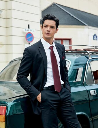 HISDERN Набір краваток для чоловіків (3 шт.) Класичні краватки та нагрудні хустки з шовку для весілля та свят